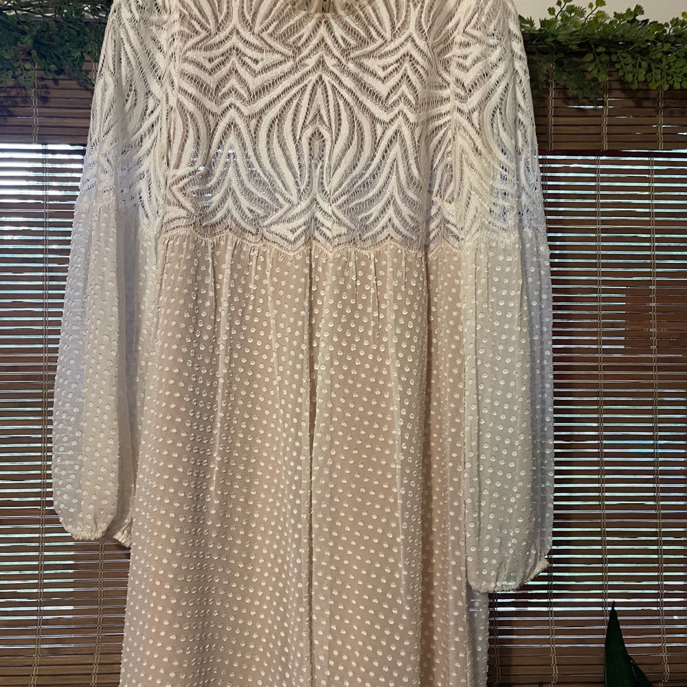 Elegant Cream Lace Dress